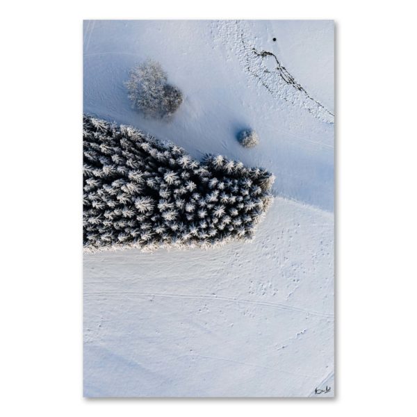 Moises #02 – Image 2