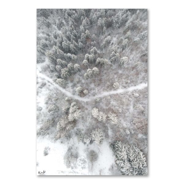 Villards #03 – Image 2
