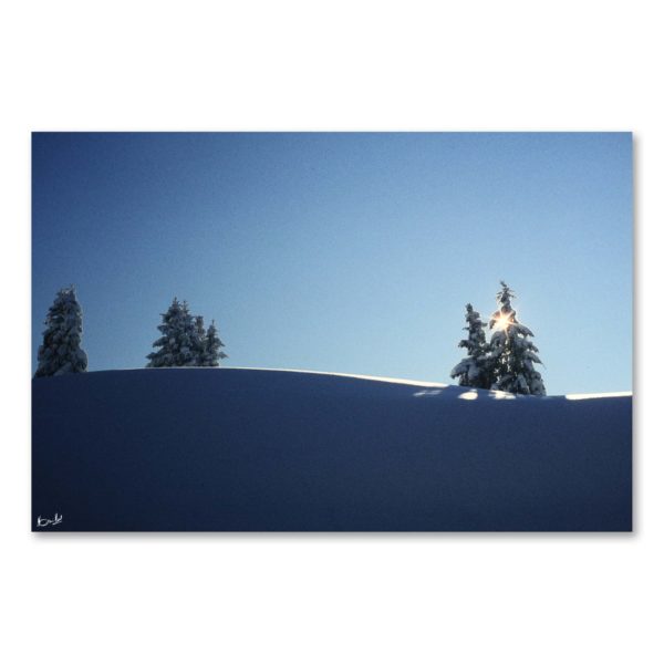 Vintage #01 – Image 2